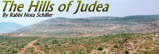THE HILLS OF JUDEA by Rabbi Nota Schiller