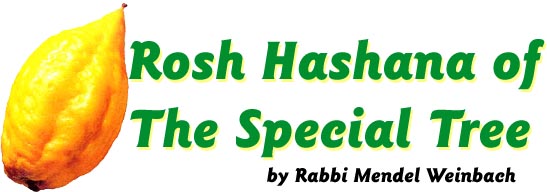 Rosh Hashana of the Special Tree by Rabbi Mendel Weinbach