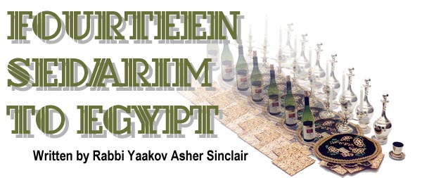 14 Sedarim to Egypt by Rabbi Yaakov Asher Sinclair