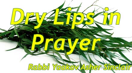 Dry Lips in Prayer - Rabbi Yaakov Asher Sinclair