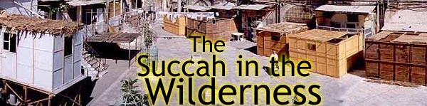 The Succah in the Wilderness - Rabbi Mendel Weinbach